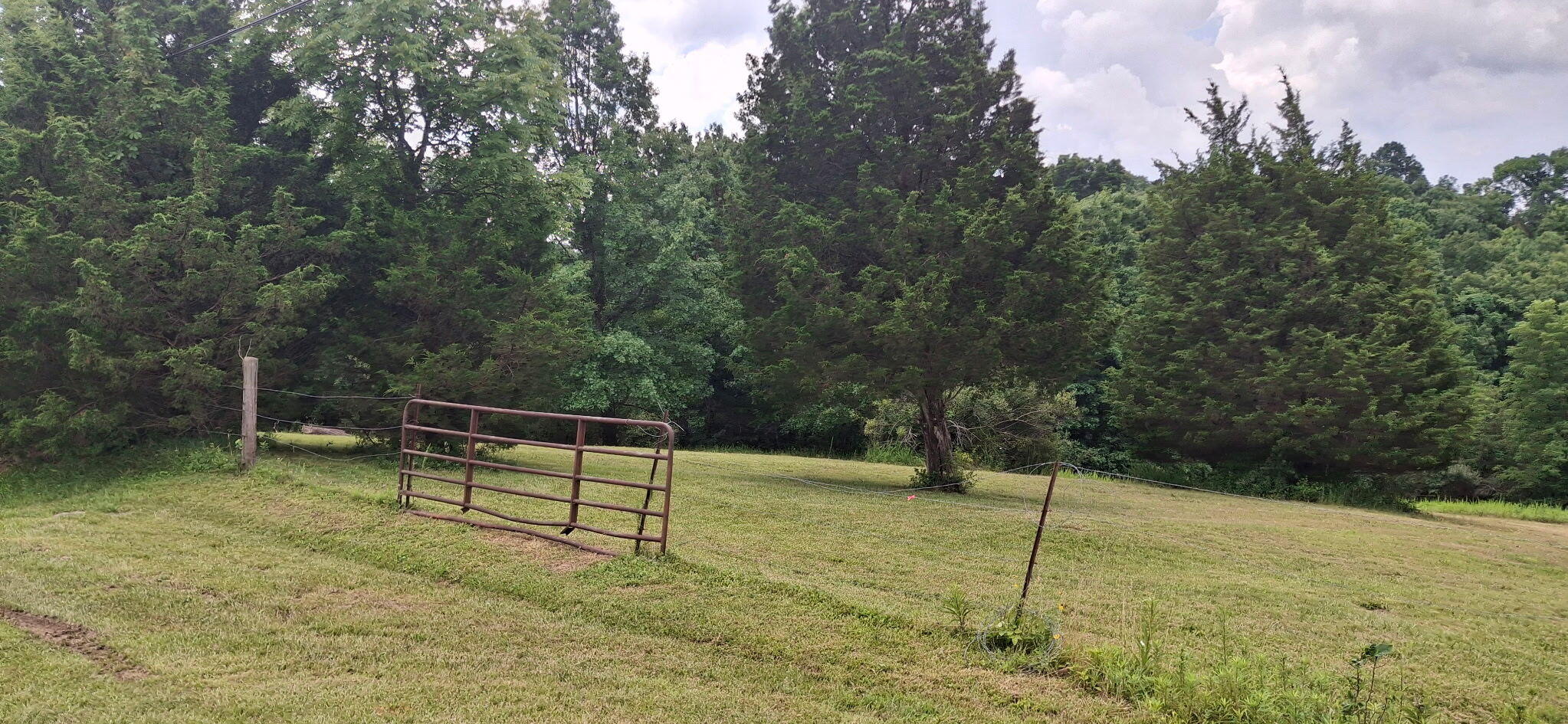 0 Tract 2 Cordova Road Williamstown, KY 41097 - Photo 4 of 5 1000054803