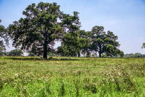 $2,845,000 | 5655 Brazos Bow Way, Washington, TX 77880