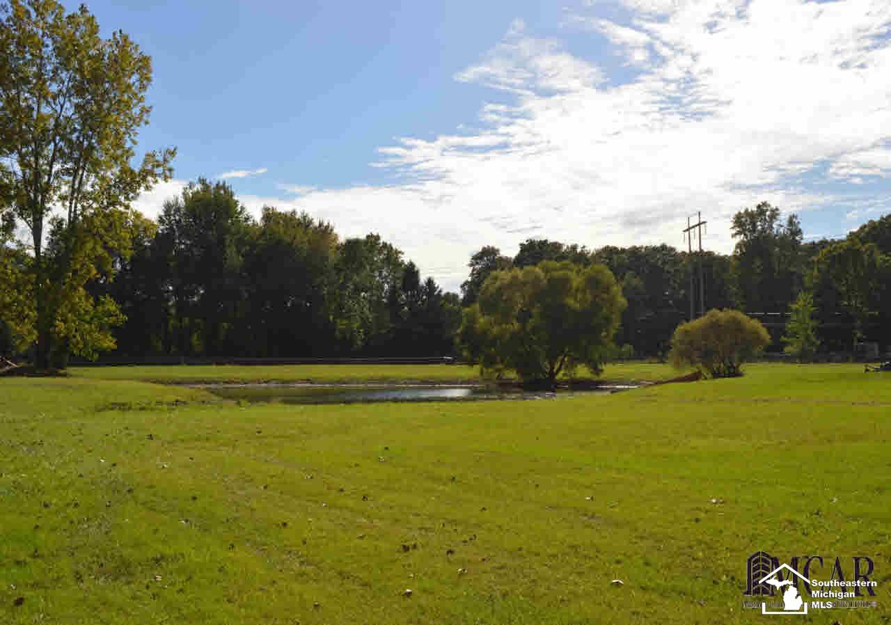 4045 Rauch Road Petersburg, MI 49270 - Photo 2 of 30