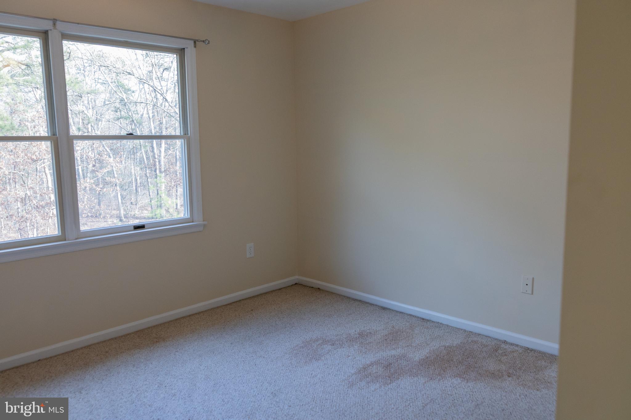 236 Maple Terrace Buena, NJ 08310 - Photo 44 of 58