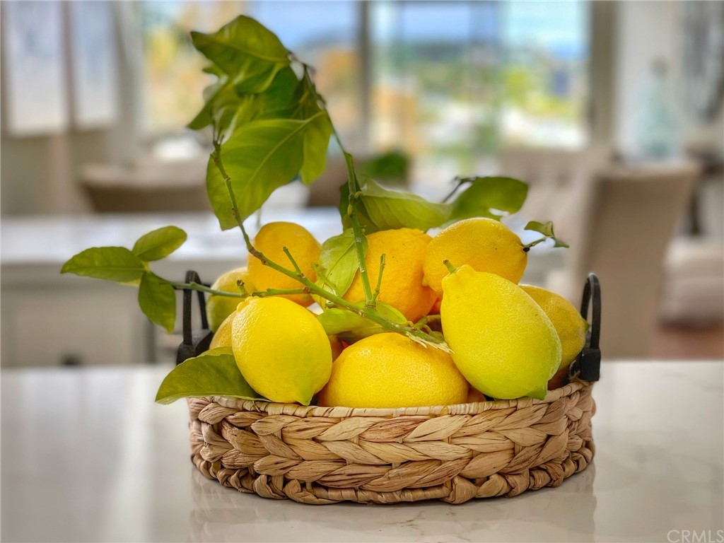 24955 Seagate Drive Dana Point, CA 92629 - Photo 8 of 39 a view of a swimming pool