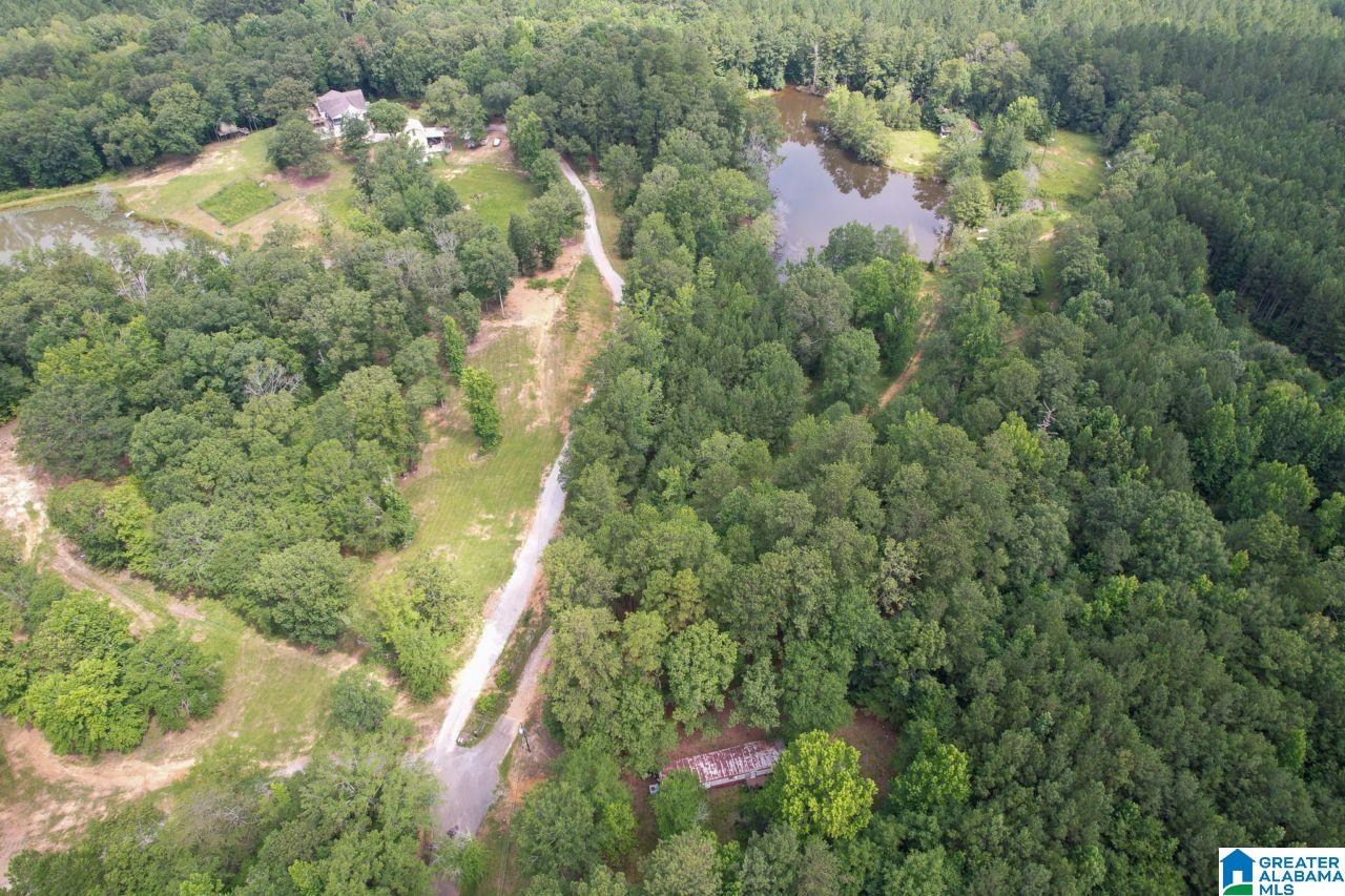 131 Lake Cottage Road Sterrett, AL 35147 - Photo 55 of 64