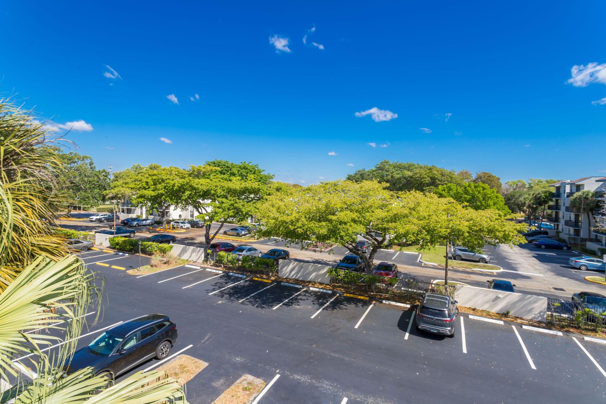 301 North Pine Island Road, Unit 217 Plantation, FL 33324 - Photo 17 of 25 Photo 17