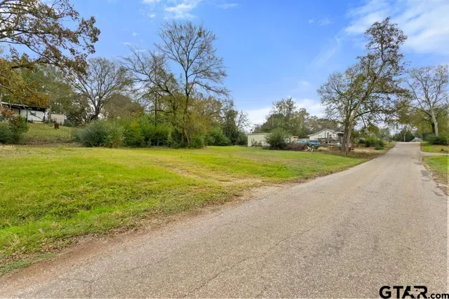 a view of a park with large trees