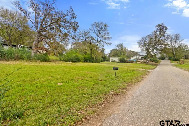 a view of yard with large trees