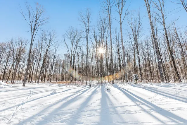 $675,000 | 3009 North Shore Drive, Crandon, WI 54520