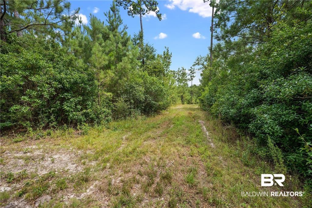 7930 D Chunchula Georgetown Road Chunchula, AL 36521 - Photo 50 of 63 Gallery Image 50
