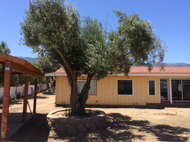 33173 River Road Soledad, CA 93960 - Photo 5 of 23 Gallery Image 5