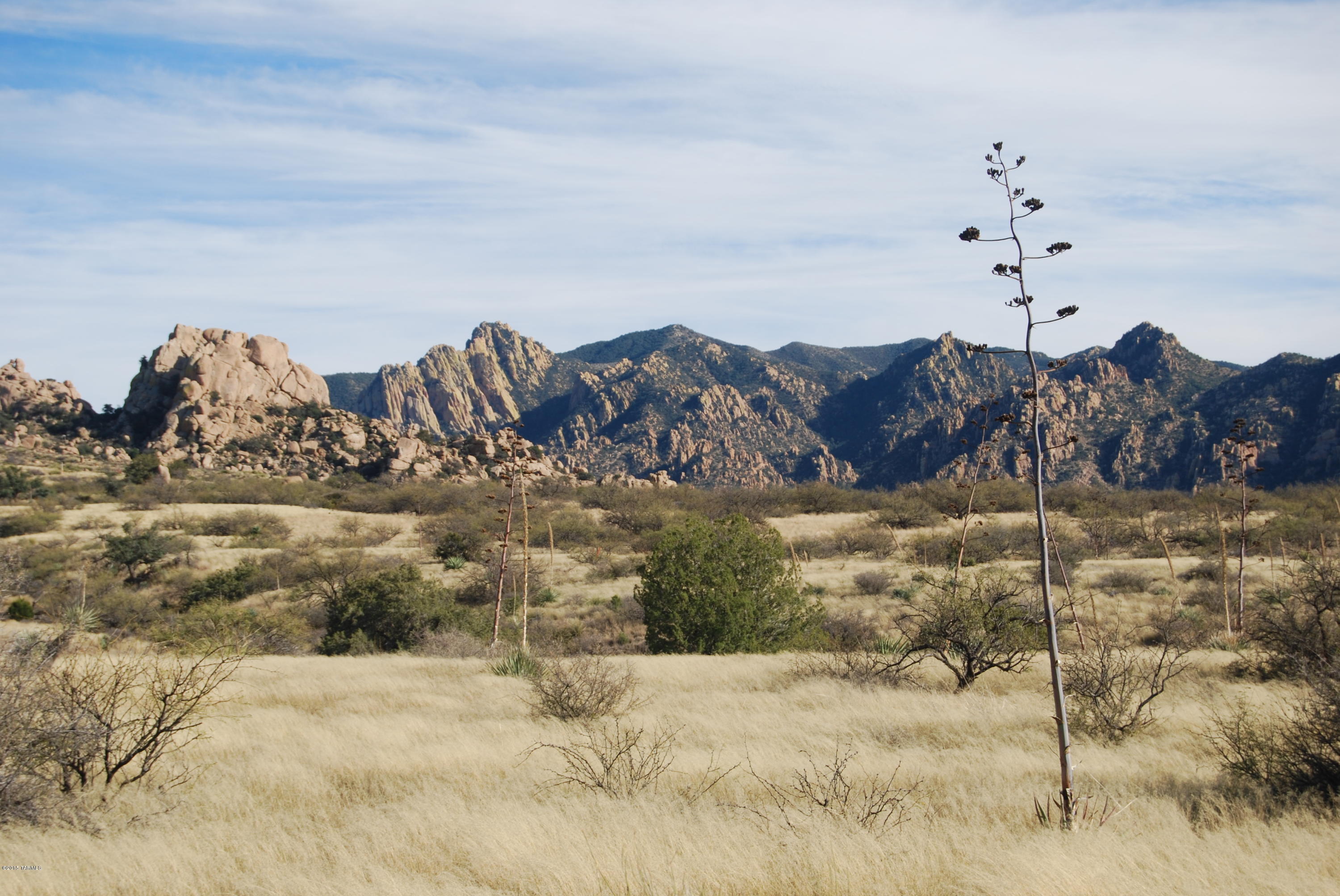 East Diamondback Road St. David, AZ 85630 - Photo 10 of 32
