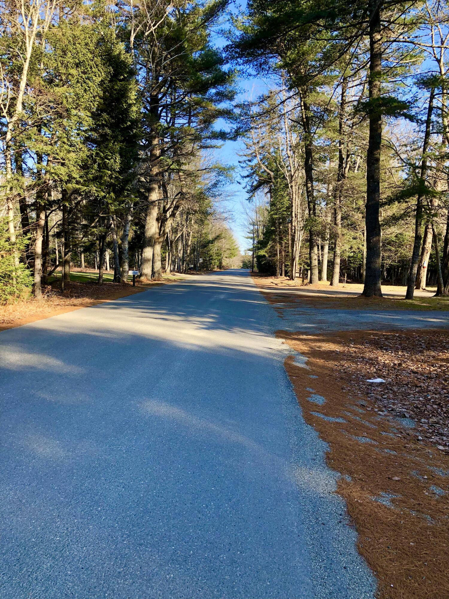 79 Mill Road Lamoine, ME 04605 - Photo 23 of 25 Mill Road Lamoine