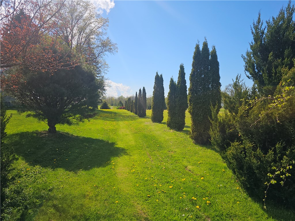 6195 Lincoln Road Ontario, NY 14519 - Photo 3 of 4 Pathway to your new home !