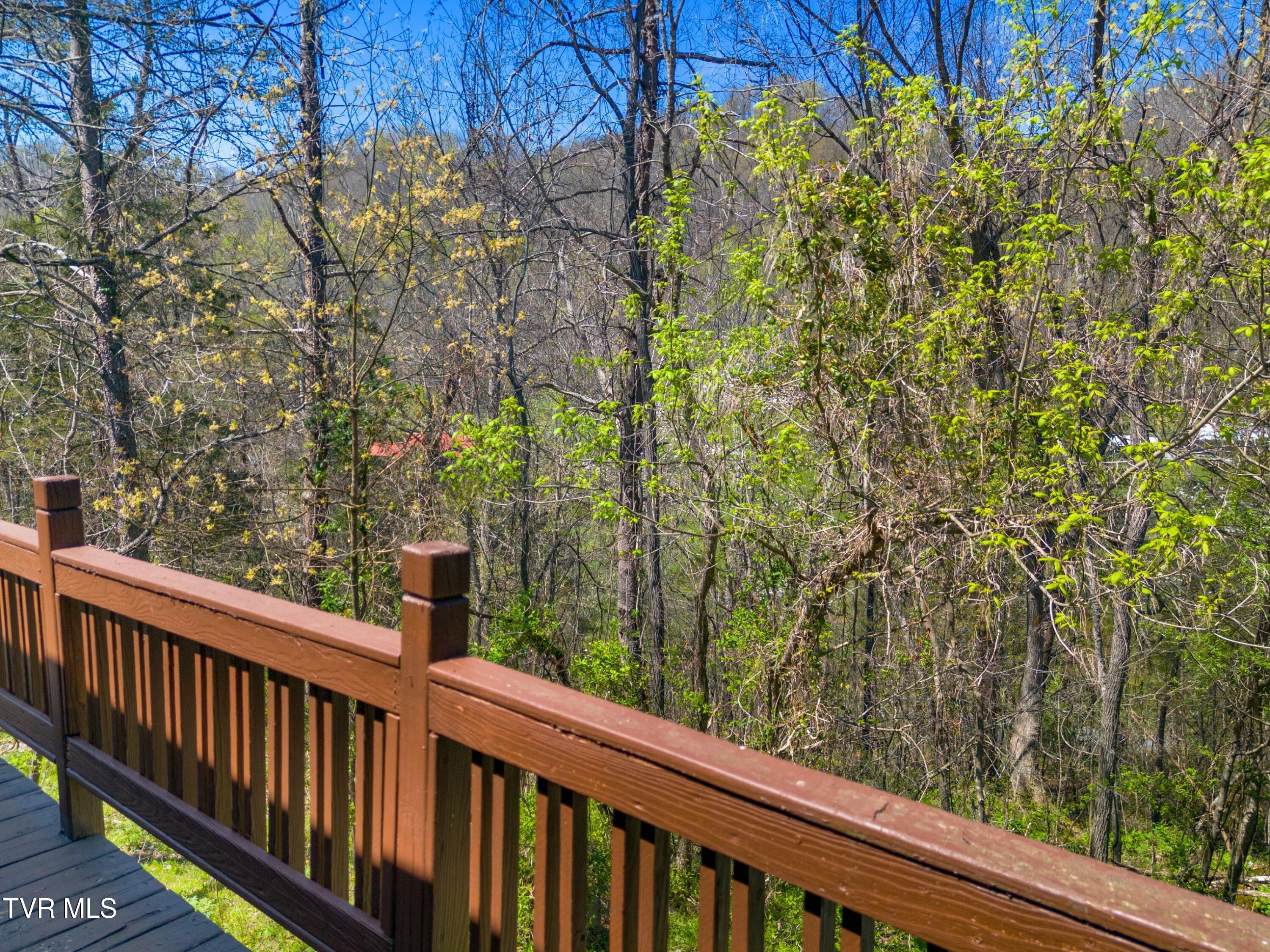 158 Dalson Road Eidson, TN 37731 - Photo 7 of 62 048-158DalsonRoad-Eidson-TN-37731-SMALL