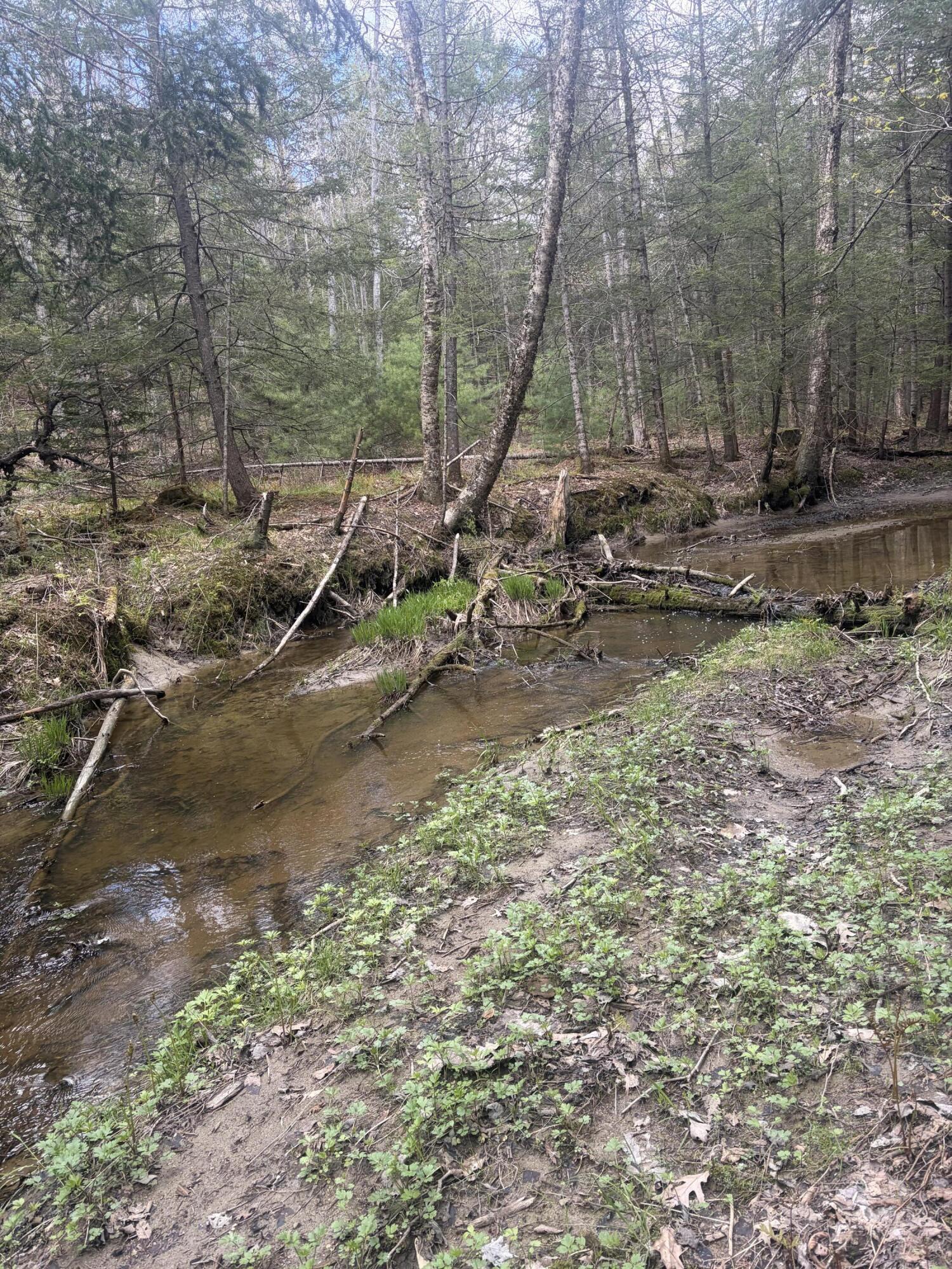 108 B Flying Point Road Freeport, ME 04032 - Photo 25 of 31 River