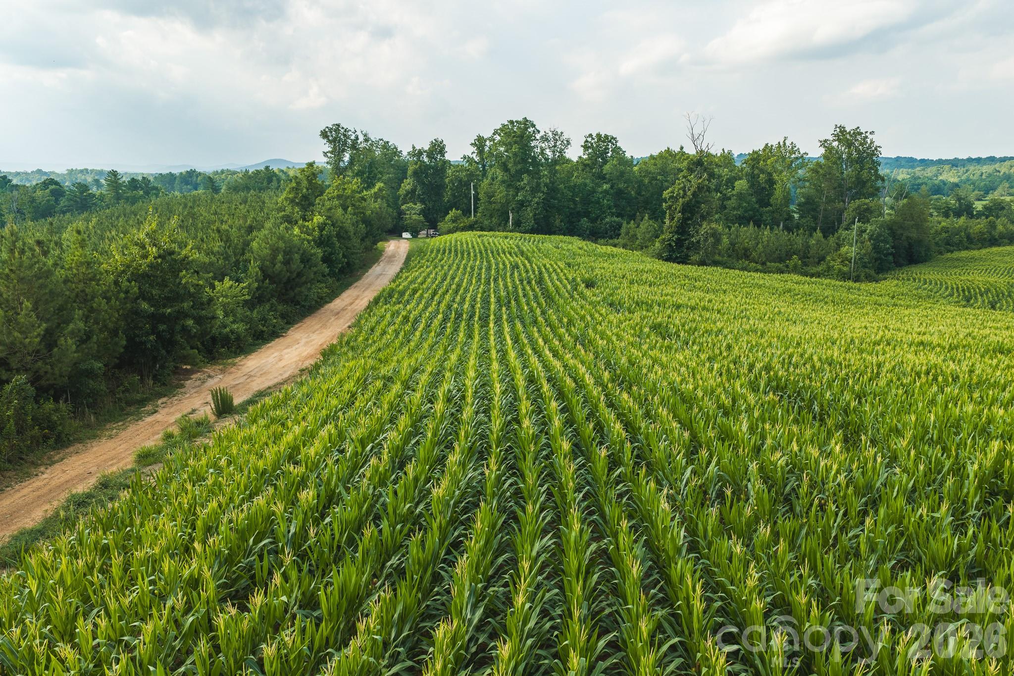 Tbd Sandbar Road Granite Falls, NC 28630 - Photo 7 of 43