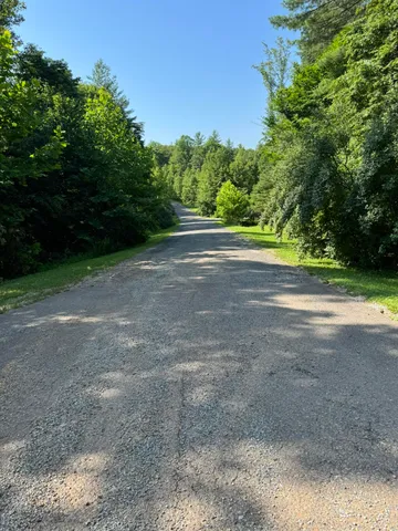a view of a yard with a large trees