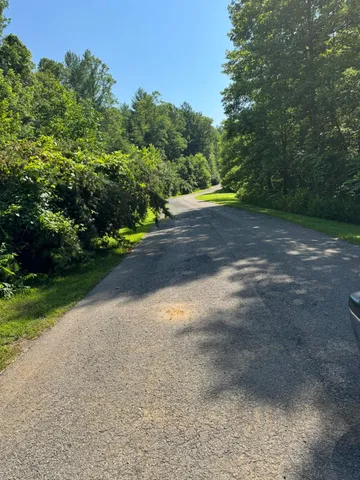 a view of a yard with a tree