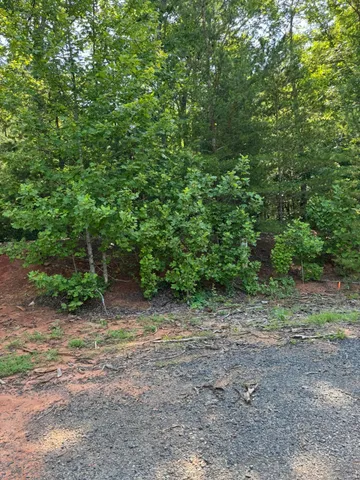 a view of a out door space area