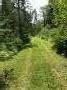 Tbd Deer Run Subdivision North Road Harmony, ME 04942 - Photo 2 of 10 IMG_1524 (1)