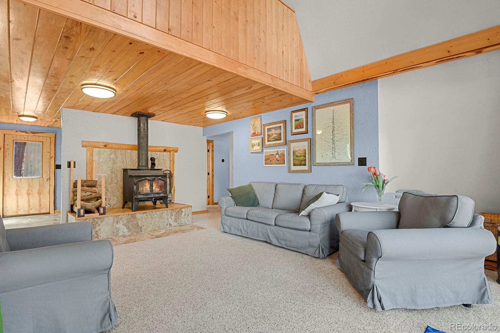 881 Trail Creek Road Lake George, CO 80827 - Photo 10 of 46
