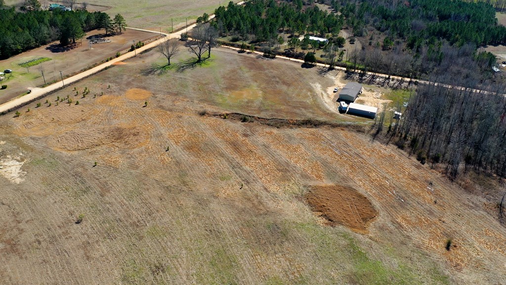 1132 Grant Road Slocomb, AL 36375 - Photo 9 of 14