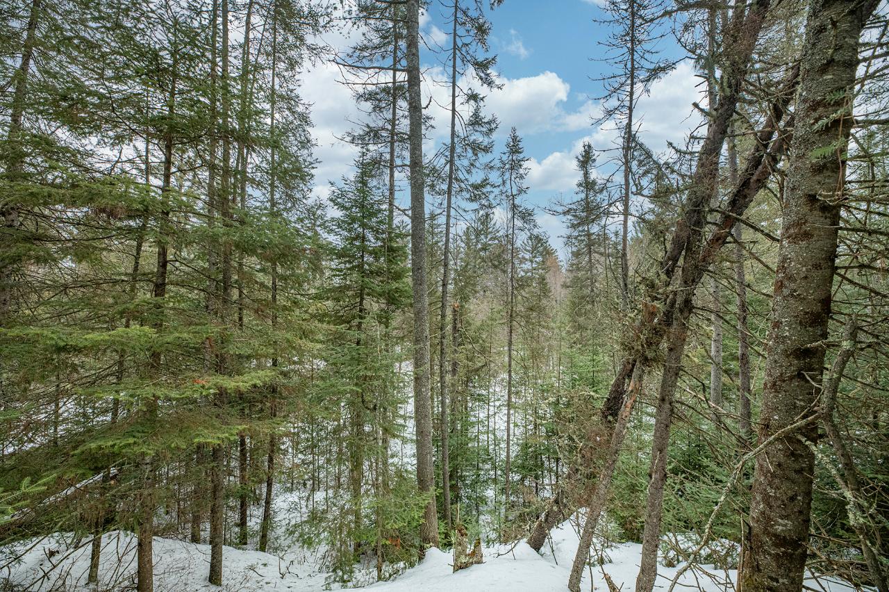 Off Pit Road Eagle River, WI 54521 - Photo 6 of 22 Gallery Image 6