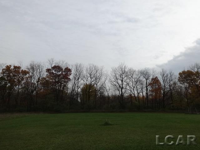 14685 Tracey Road Manchester, MI 48158 - Photo 53 of 62 31309042-52.JPG