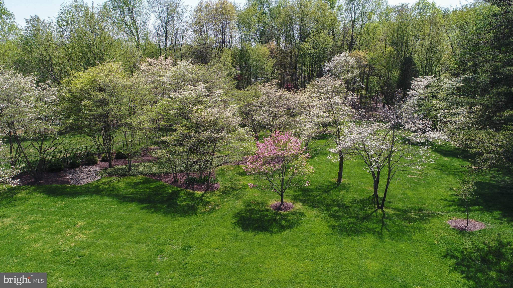 11400 Glen Road Potomac, MD 20854 - Photo 29 of 30 a view of a garden with plants