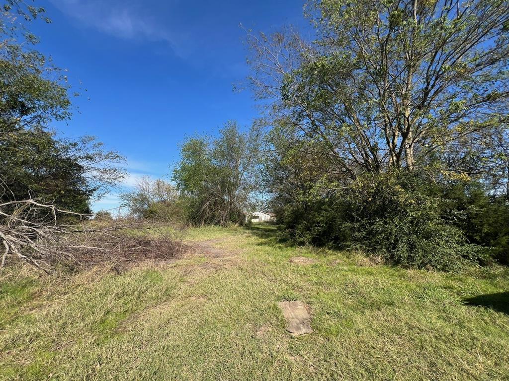 900 North Tbd Farm Road Saltillo, TX 75478 - Photo 6 of 26 View of yard