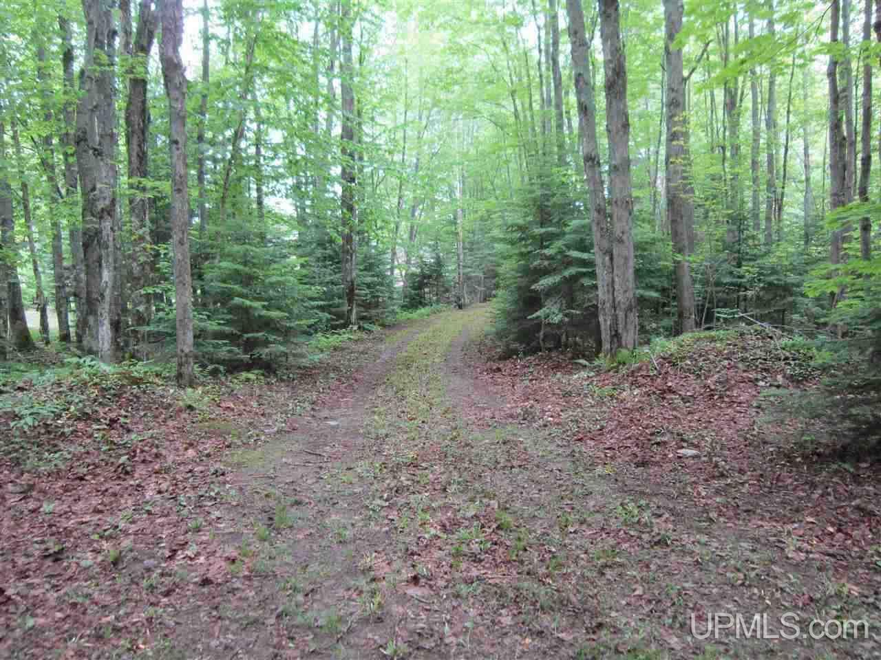 145 North Engman Lake Road Skandia, MI 49885 - Photo 3 of 6