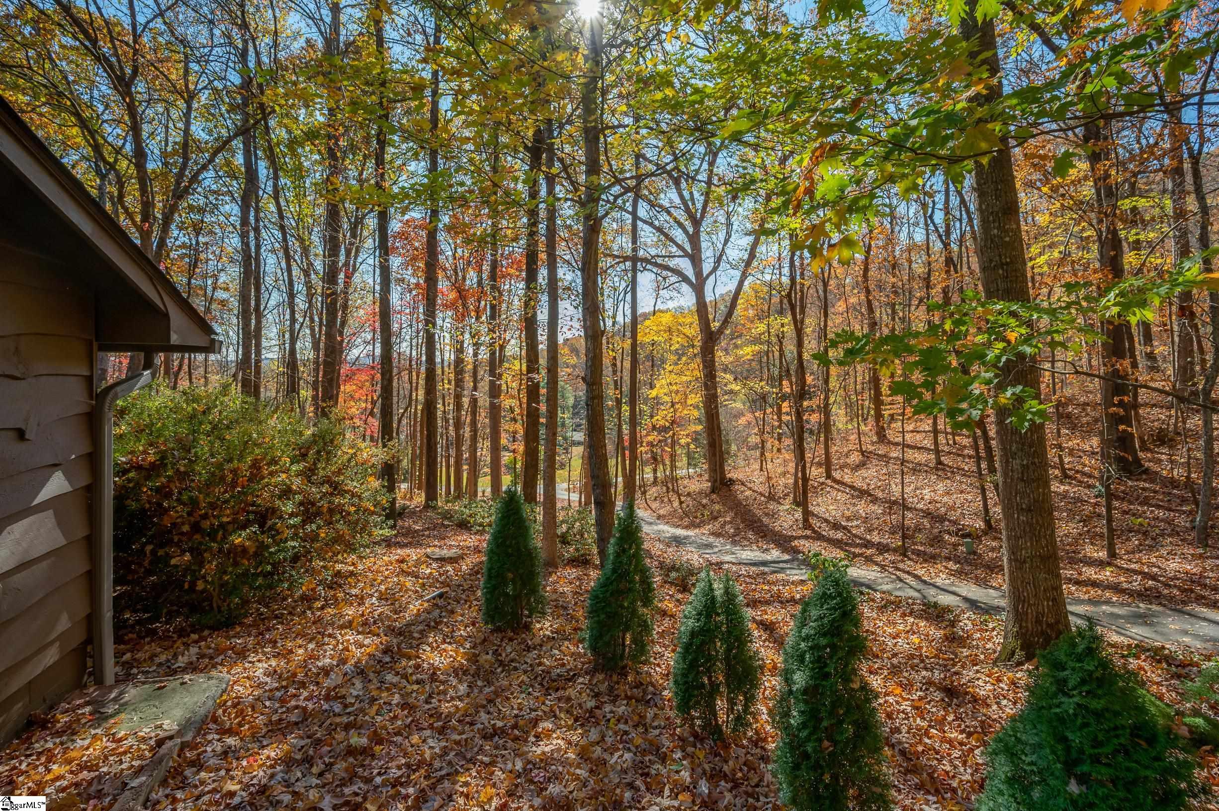 56 Wells Lane Tryon, NC 28782 - Photo 3 of 36 Gallery Image 3