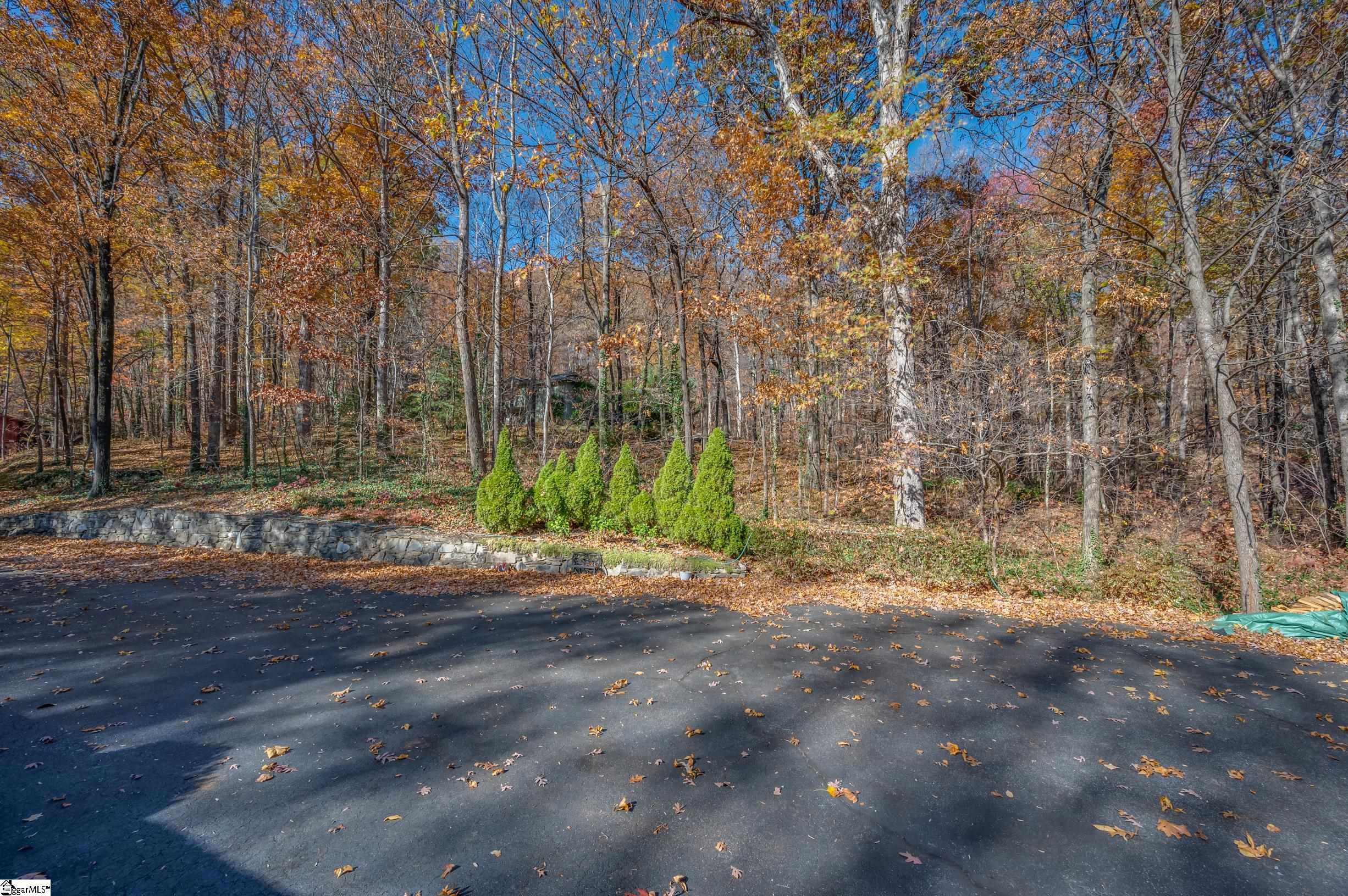56 Wells Lane Tryon, NC 28782 - Photo 33 of 36 Gallery Image 33