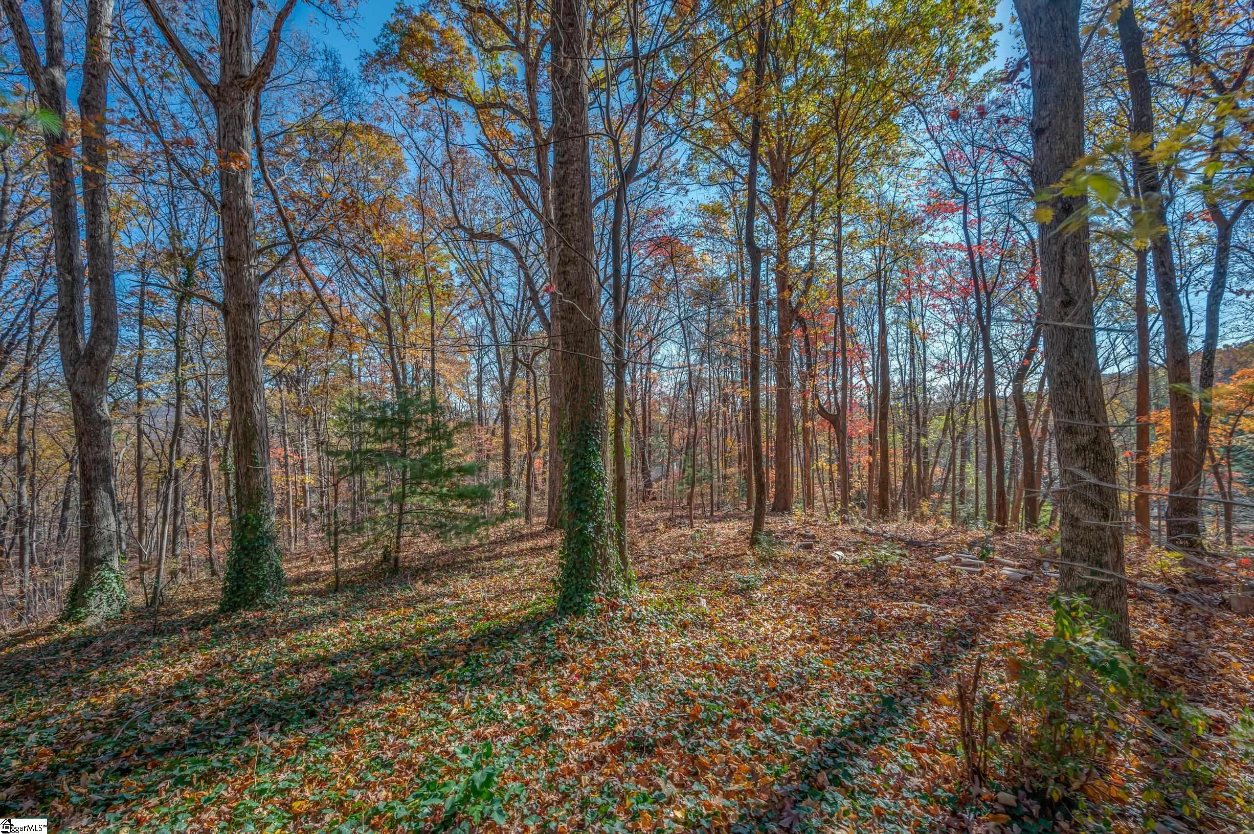 56 Wells Lane Tryon, NC 28782 - Photo 34 of 36 Gallery Image 34