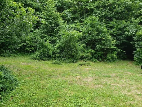 a view of a yard with a tree