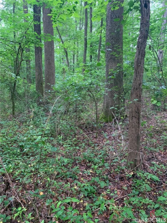 195 Mize Road Commerce, GA 30530 - Photo 15 of 15