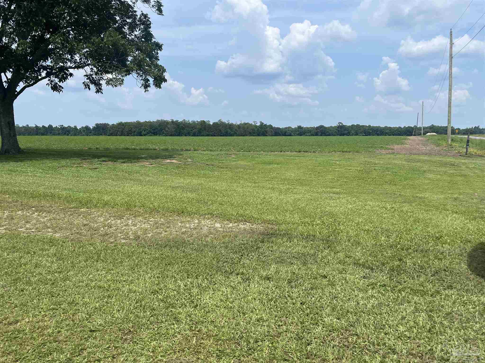 6150 Dortch Road Century, FL 32535 - Photo 19 of 19