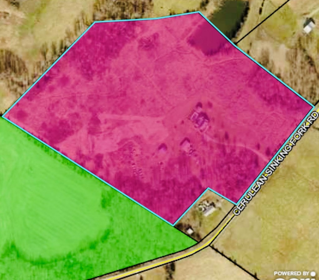 9860 Cerulean-Sinking Fork Road Cerulean, KY 42215 - Photo 12 of 55