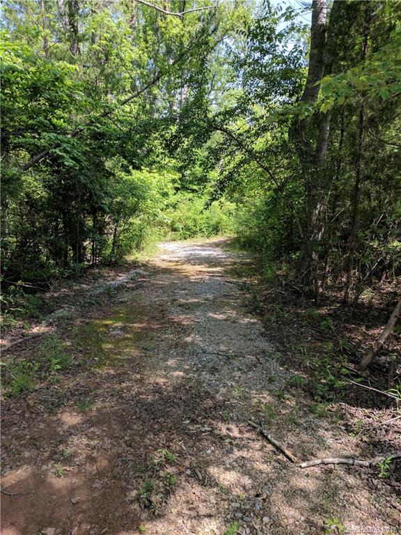 2158 Coopers Gap Road Rutherfordton, NC 28139 - Photo 22 of 27 a view of a yard with a tree