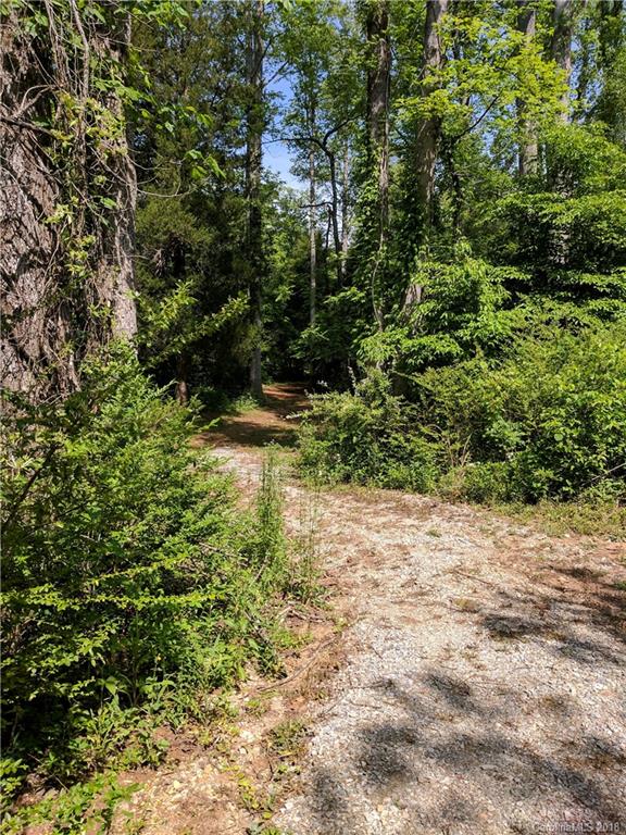 2158 Coopers Gap Road Rutherfordton, NC 28139 - Photo 6 of 27 a view of a yard with plants and a tree
