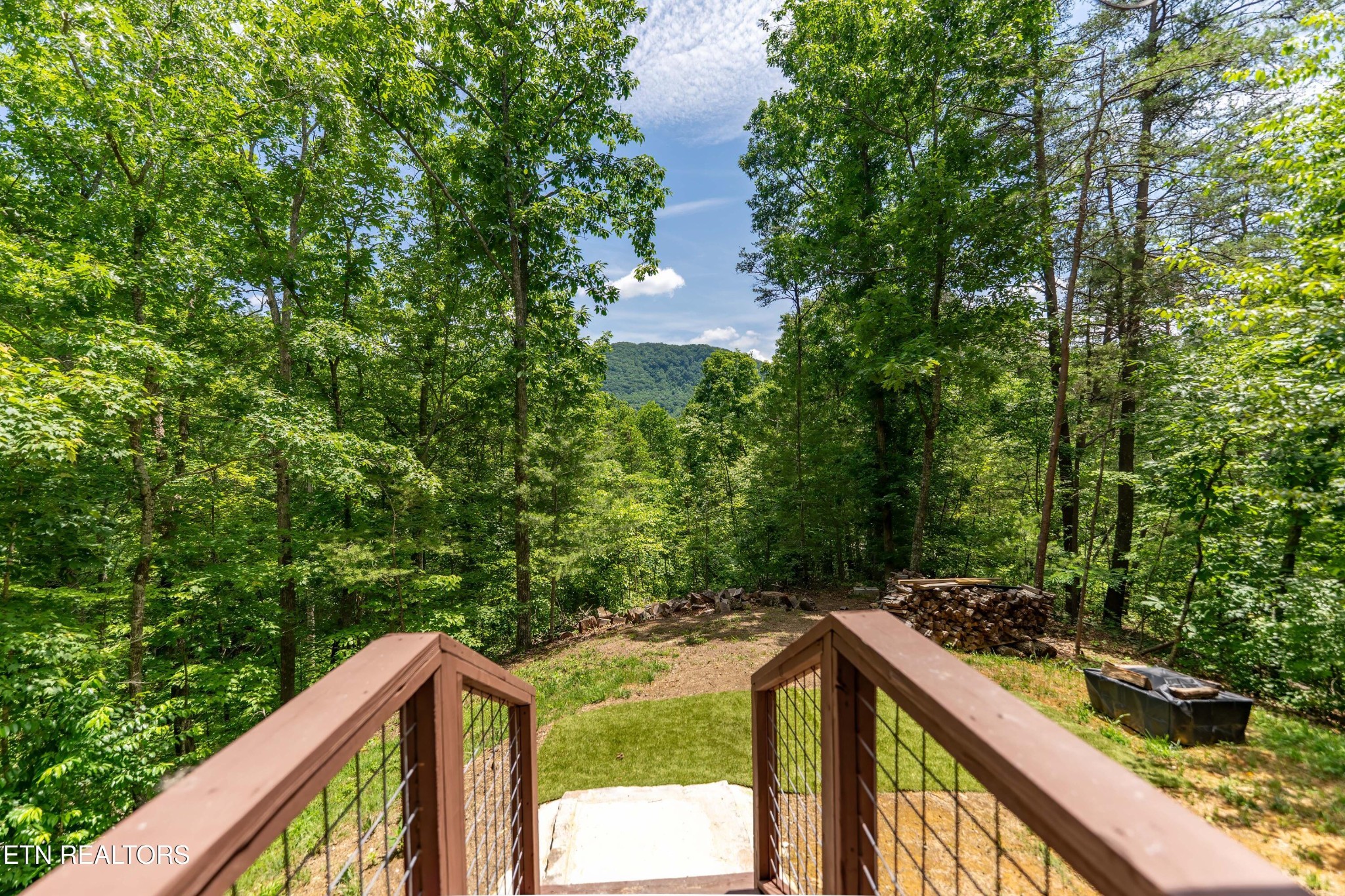 3040 Patty View Way Pigeon Forge, TN 37862 - Photo 24 of 30