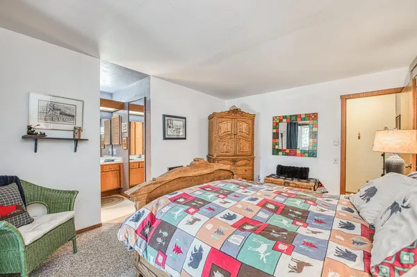 a view of a forest filled with trees