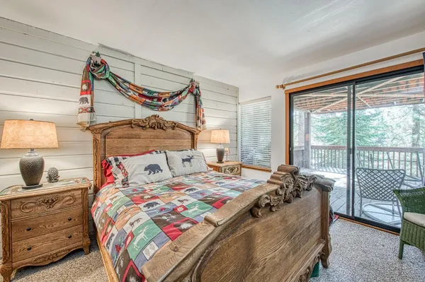 a view of a forest with a tree