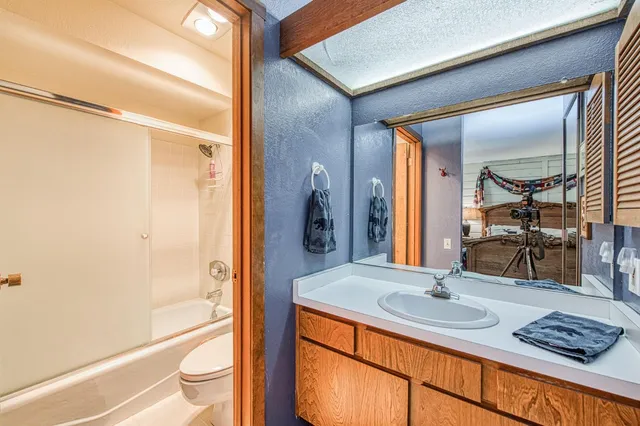 a view of a forest filled with trees