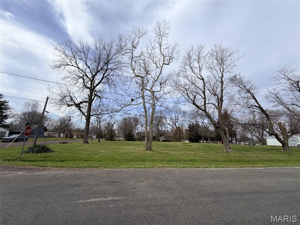 13007 Harrison Trail Litchfield, IL 62056 - Photo 1 of 5