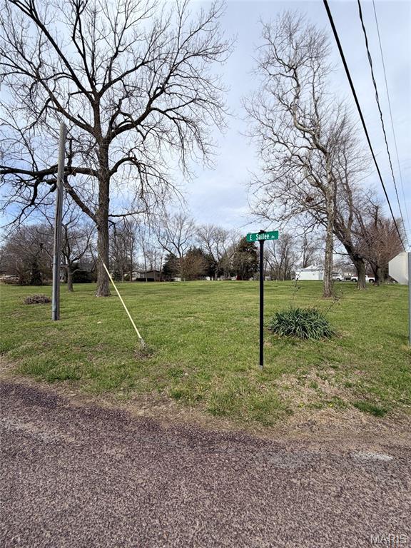 13007 Harrison Trail Litchfield, IL 62056 - Photo 4 of 5