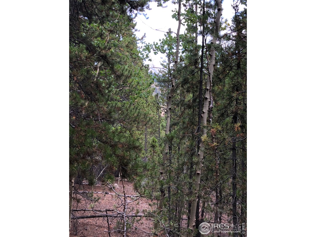Seldom Seen Road Golden, CO 80403 - Photo 11 of 12 Gallery Image 11