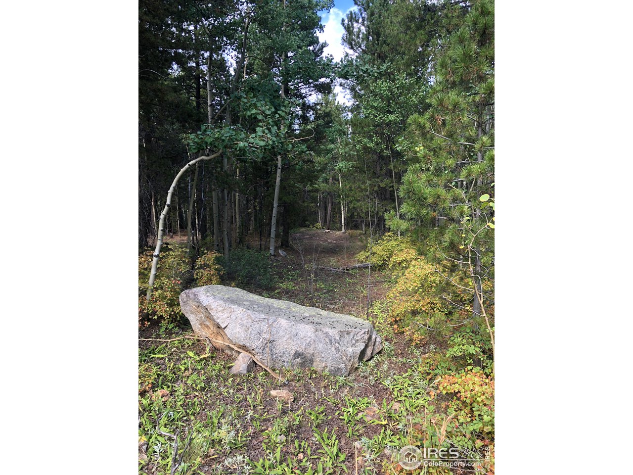 Seldom Seen Road Golden, CO 80403 - Photo 4 of 12 trail blocked for safety