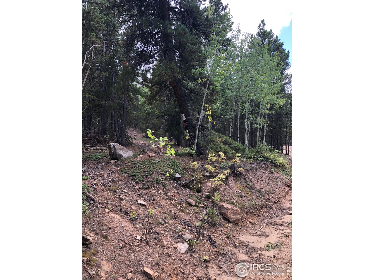 Seldom Seen Road Golden, CO 80403 - Photo 5 of 12 Gallery Image 5