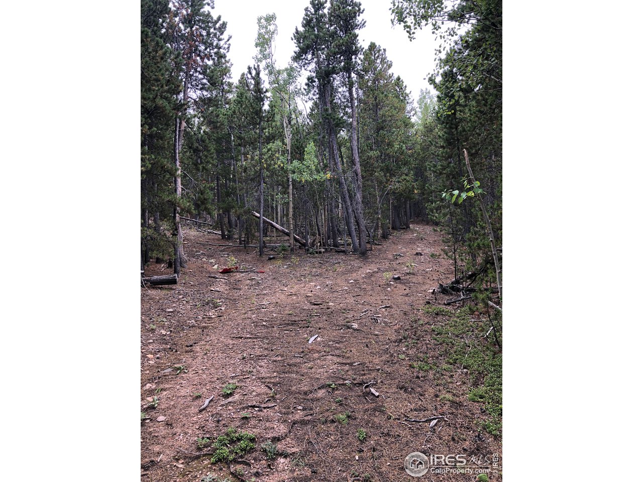 Seldom Seen Road Golden, CO 80403 - Photo 6 of 12 Gallery Image 6