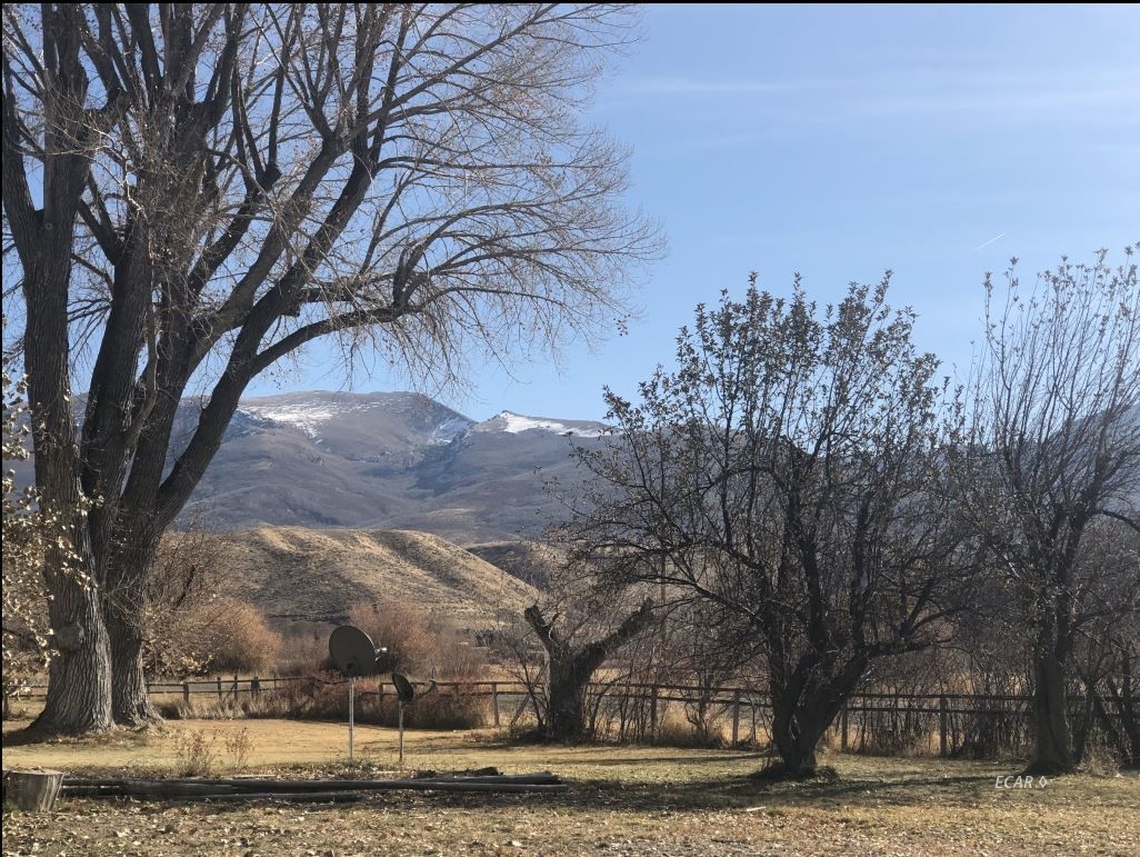 4068 Starr Valley Road Deeth, NV 89823 - Photo 9 of 18 a view of a yard with a tree