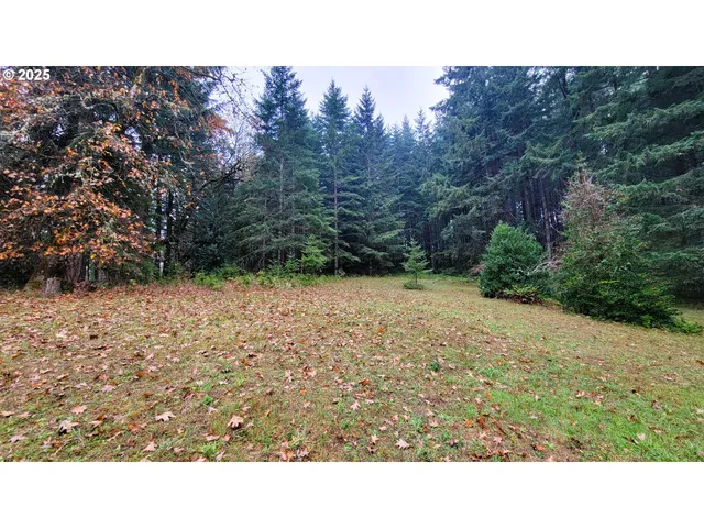 a black and white photo of a field